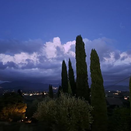 Villa The Green Door - Casa Vacanze Vicino A Roma Fonte Nuova Luaran gambar
